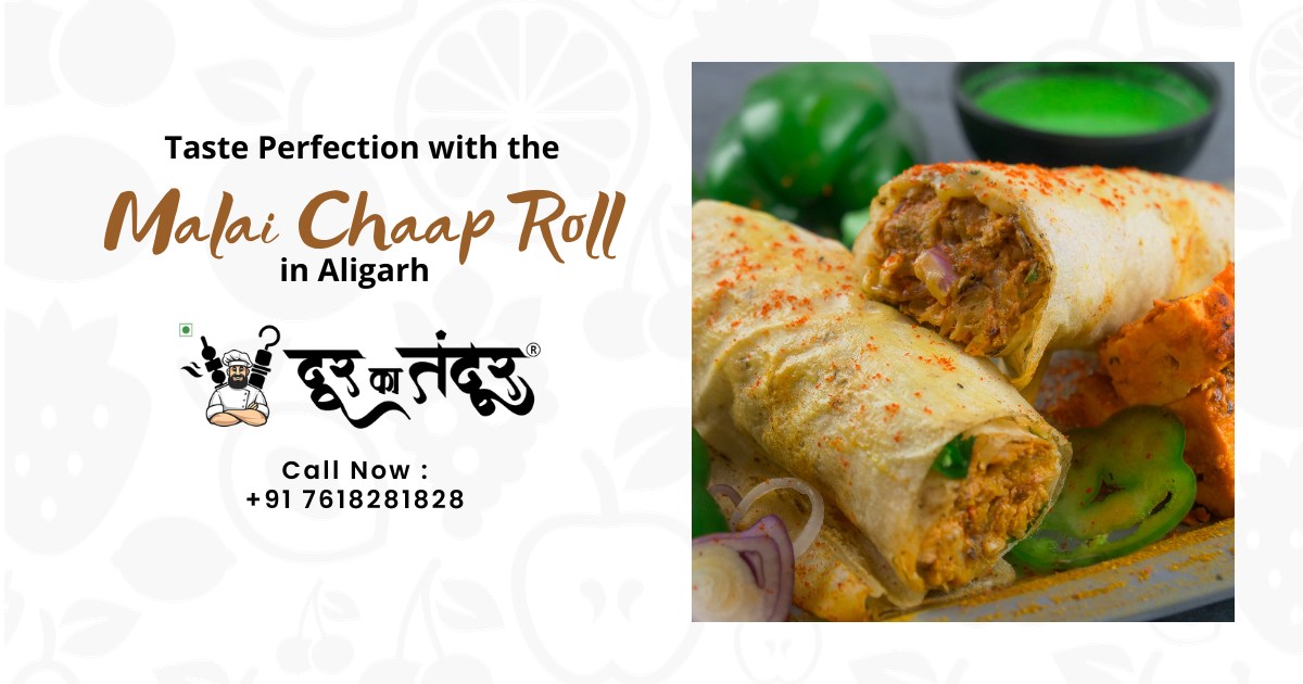 Door ka tandoor - Taste Perfection with the Malai Chaap Roll in Aligarh - Door Ka Tandoor
