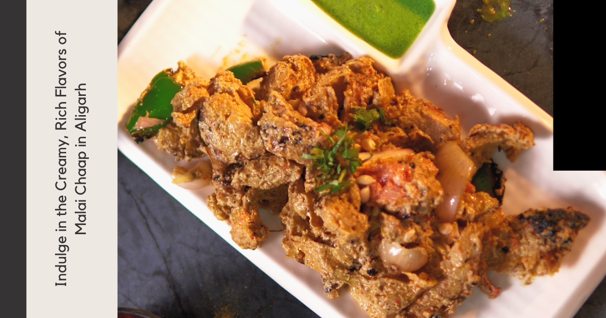Door ka tandoor - Indulge in the Creamy Rich Flavors of Malai Chaap in Aligarh - Door Ka Tandoor Door ka tandoor - Indulge in the Creamy Rich Flavors of Malai Chaap in Aligarh