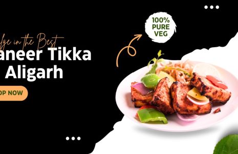 Door ka tandoor - Paneer Tikka in Aligarh