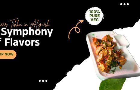 Door ka tandoor - Paneer Tikka in Aligarh