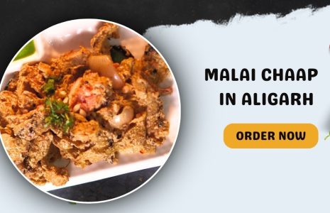 Door ka tandoor - Savor the Flavor of Happiness with Our Malai Chaap in Aligarh