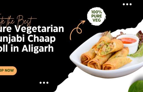 Door ka tandoor - Taste the Best Pure Vegetarian Punjabi Chaap Roll in Aligarh