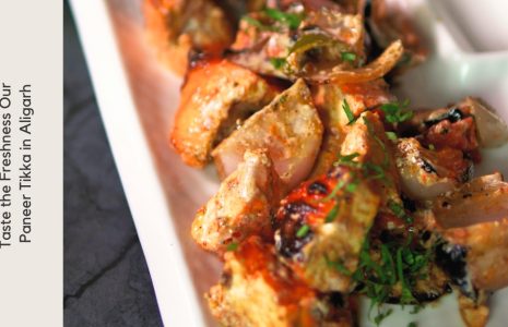 Door ka tandoor - Taste the Freshness Our Paneer Tikka in Aligarh